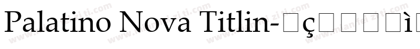 Palatino Nova Titlin字体转换